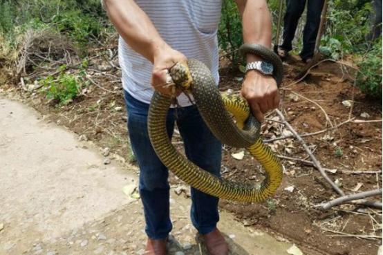 河南自然之旅，随心所欲的生态盛宴